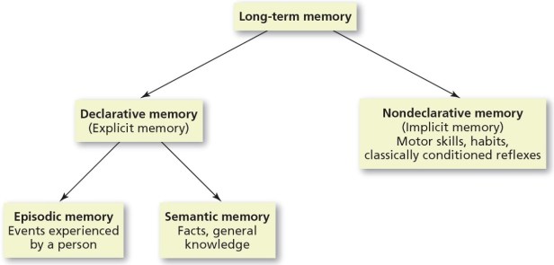 types of memory