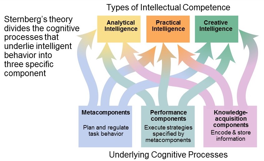 Thinking Language Intelligence Empower Community Health Llc Ech
